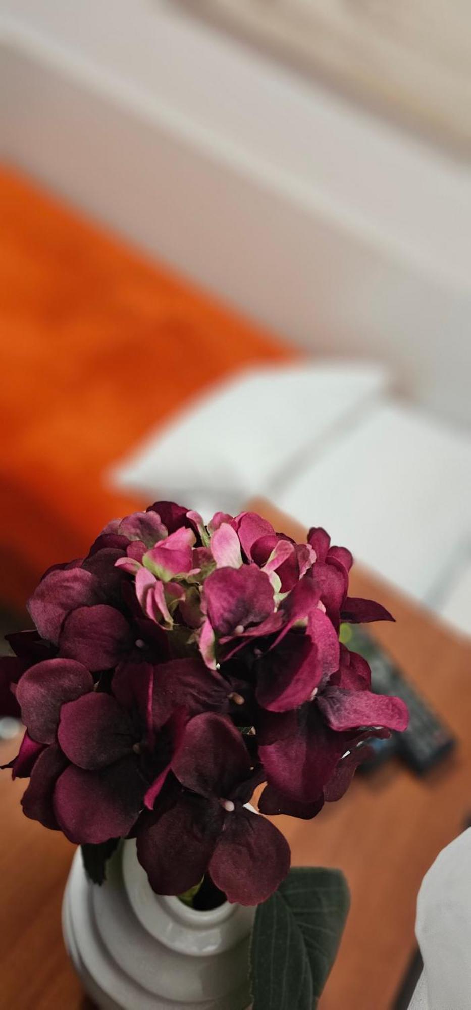 Sobe/Rooms Riva Ζαντάρ Εξωτερικό φωτογραφία